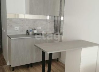 Продается квартира студия, 19.2 м2, Мурино, Воронцовский бульвар, 21к3, ЖК Мой Мир