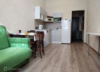 Квартира на продажу студия, 21.2 м2, Мурино, Петровский бульвар, 7, ЖК Ласточка