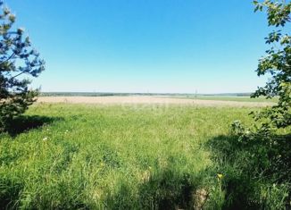 Земельный участок на продажу, 30.2 сот., село Волковское, Молодёжная улица