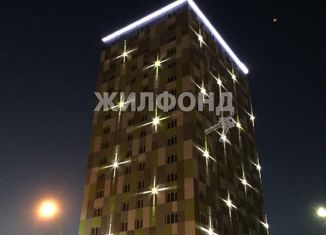 Продаю квартиру студию, 26 м2, Новосибирск, Железнодорожная улица, 15, метро Гагаринская
