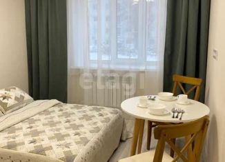 Квартира на продажу студия, 18 м2, Казань, улица Меховщиков, 7, Вахитовский район