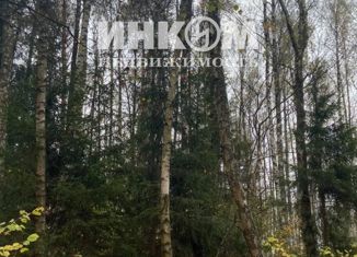 Продаю земельный участок, 10.3 сот., деревня Слепушкино