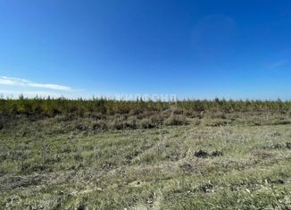 Продажа земельного участка, 10 сот., СНТ Большая Семья