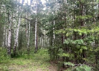 Продаю участок, 18.6 сот., деревня Гусева, Зелёная улица, 14