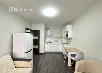Сдается в аренду 1-комнатная квартира, 32 м2, Санкт-Петербург, проспект Будённого, 19к2, муниципальный округ Сосновая Поляна