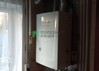 Дом на продажу, 51 м2, село Берёзовка, Береговая улица, 9