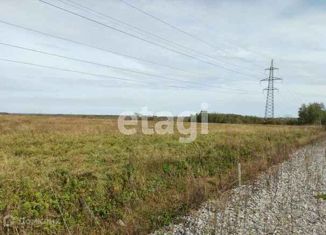 Участок на продажу, 11.56 сот., село Матвеевка