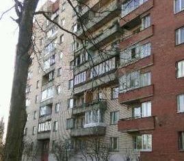 Сдам однокомнатную квартиру, 40 м2, Санкт-Петербург, проспект Ветеранов, 118к2, Красносельский район