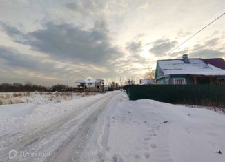 Участок на продажу, 30 сот., деревня Нижняя Занинка