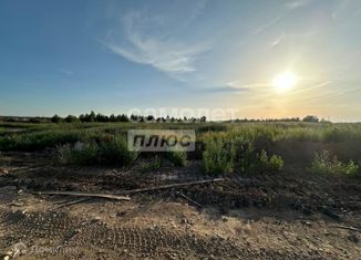 Продаю участок, 6 сот., деревня Крутой Овраг, Новая улица, 2