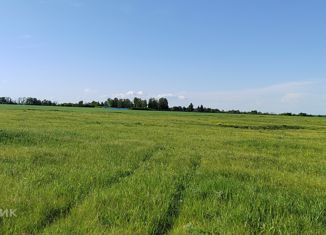 Продажа участка, 10 сот., деревня Татарский Кабан