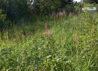 Продаю земельный участок, 6 сот., деревня Трубников Бор