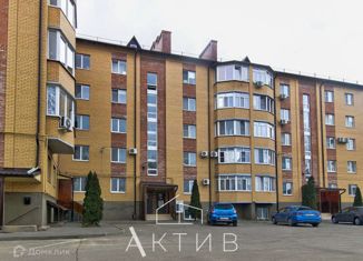 Продажа однокомнатной квартиры, 51 м2, поселок Рассвет, Институтская улица, 16