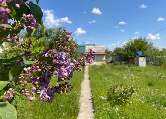 Продам дом, 20 м2, СНТ Лен, Осенняя улица