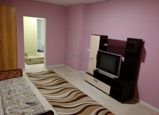 Продаю 1-комнатную квартиру, 27 м2, Нижний Новгород, Берёзовская улица, 106, метро Буревестник