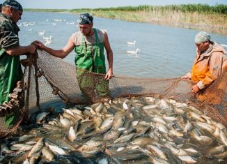 Продам земельный участок, 13500 сот., Петровское сельское поселение