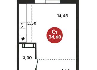 Продам квартиру студию, 26 м2, микрорайон Вишнёвая Горка, улица Вишнёвая Аллея, 3