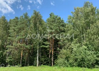 Продаю участок, 15.91 сот., деревня Таганьково