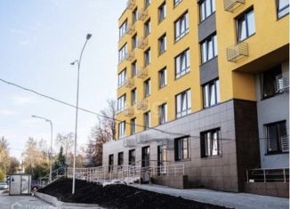 Однокомнатная квартира на продажу, 43 м2, Нижний Новгород, Проломная улица, 40, Проломная улица