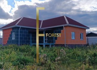 Продается дом, 114 м2, деревня Шайдурово, Южная улица, 9