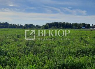 Продам участок, 10 сот., деревня Калинино, Калининская улица