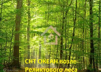 Продается участок, 6 сот., садовое товарищество Океан
