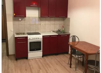 Продам квартиру студию, 24.6 м2, Кудрово, Австрийская улица, 4к1, ЖК Австрийский Квартал