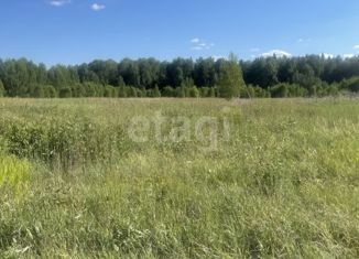 Продам земельный участок, 12 сот., деревня Ореховка