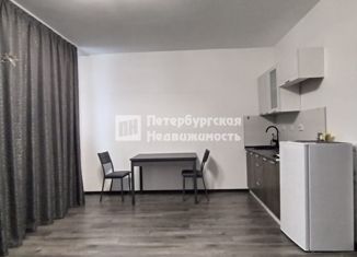 Квартира на продажу студия, 27.4 м2, Санкт-Петербург, Планерная улица, 95к1, Планерная улица