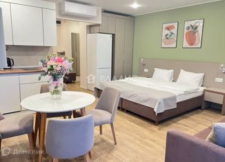 Продаю квартиру студию, 33.4 м2, Санкт-Петербург, Малый проспект Васильевского острова, 54к2, Малый проспект Васильевского острова