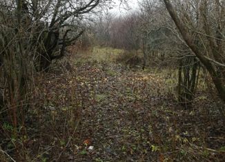 Продажа участка, 10 сот., деревня Войносолово