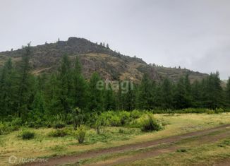 Продажа участка, 227.1 сот., село Чибит