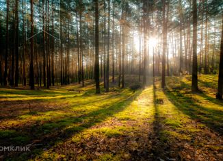 Продажа участка, 28.5 сот., деревня Фоминское, Берёзовая улица