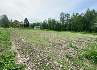 Продам участок, 14 сот., деревня Вечна