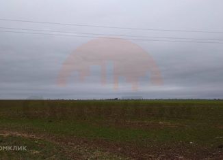 Участок на продажу, 1000 сот., село Фрунзе, площадь имени М.К. Дорохина