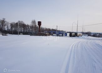 Продам земельный участок, 128 сот., село Шиньша, улица Петрова