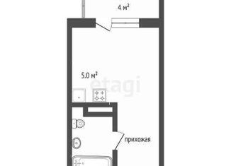 Продается квартира студия, 19.6 м2, деревня Патрушева, ЖК Никольский