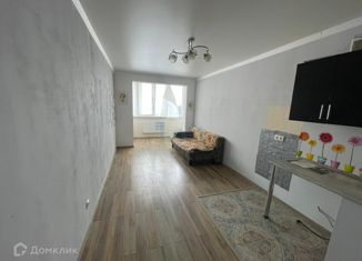 Продам квартиру студию, 29 м2, посёлок Российский, улица Куликова Поля, 27