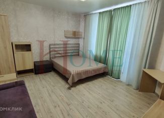 Сдается 1-комнатная квартира, 47 м2, Новосибирск, улица Семьи Шамшиных, 58
