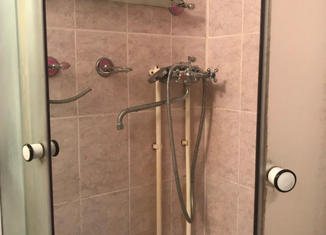 Продается квартира студия, 32.4 м2, деревня Кривское, Центральная улица, 61