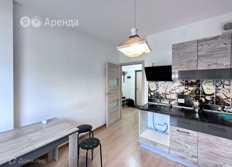 Сдается однокомнатная квартира, 35 м2, Санкт-Петербург, улица Лётчика Лихолетова, 14к2, муниципальный округ Сосновая Поляна