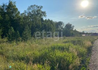 Продам земельный участок, 14 сот., ДНТ Ермолаевское-2, ДНТ Ермолаевское-2, 8