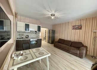 Сдам квартиру студию, 35 м2, Санкт-Петербург, Ушаковская набережная, 3к2, Ушаковская набережная