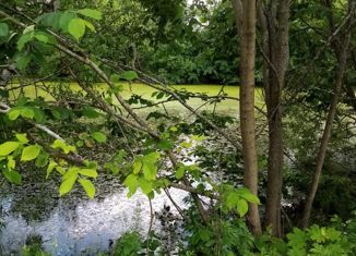 Продаю земельный участок, 14 сот., село Пушкино, улица Переделовка, 42