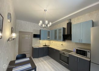 Сдается 1-ком. квартира, 45 м2, Санкт-Петербург, Приморский проспект, 46, исторический район Старая Деревня