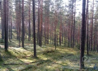 Земельный участок на продажу, 20 сот., Селезнёвское сельское поселение