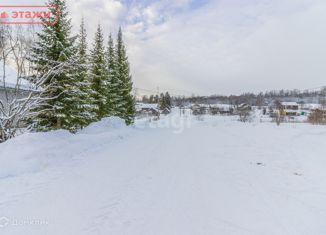 Земельный участок на продажу, 10.1 сот., село Спасская Губа