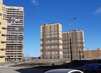 Продается 1-ком. квартира, 30.3 м2, Санкт-Петербург, Русановская улица, 28, метро Пролетарская