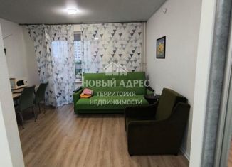 Продается квартира студия, 24.3 м2, Калужская область, улица 65 лет Победы, 23