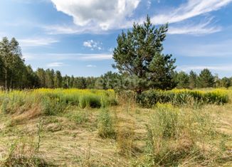 Продаю участок, 10.98 сот., село Фирсово, Восточный проезд, 2